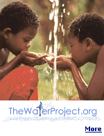 In developing countries, about 80% of illness is linked to poor water and sanitation conditions.  Click to learn more.